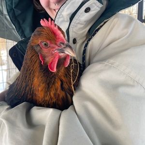 Meet your Posher, June